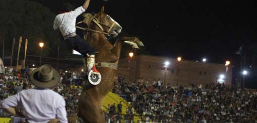 Un Jinete Murió Aplastado Por Su Caballo En El Festival De Jesús María Radio Nacional 2426