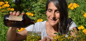 Sara Itkin: ¿Cómo hacer un cicatrizante casero con plantas nativas? – Radio Nacional