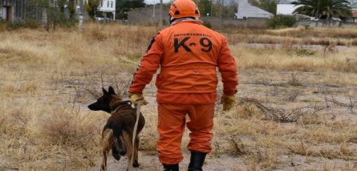 K-9