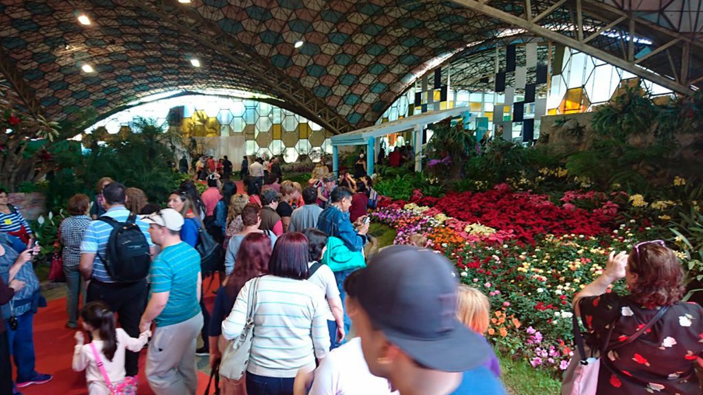 La Fiesta Nacional de la Flor: un clásico para visitar en Escobar – Radio  Nacional